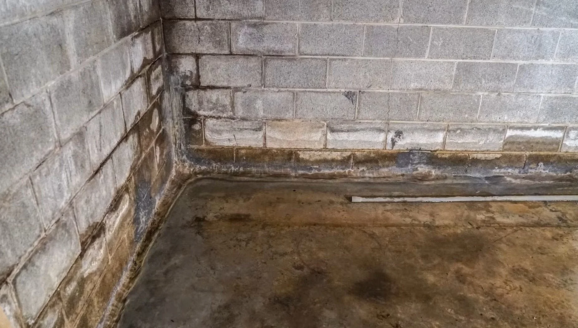 Illinois Sump Pump Failure Season Guide