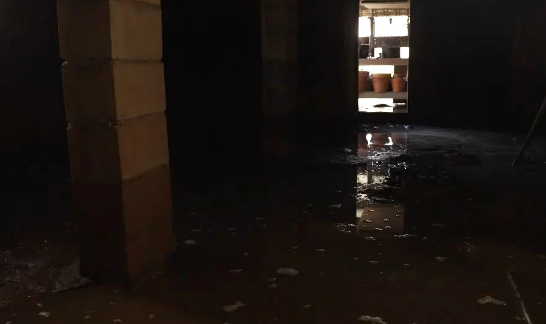 Sump Pump Failure Cleanup Illinois