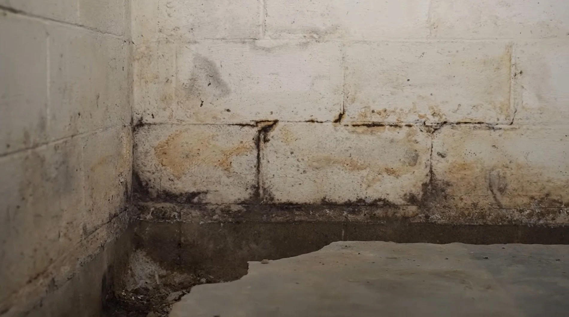 Sump Pump Failure Cleanup in Cary, IL