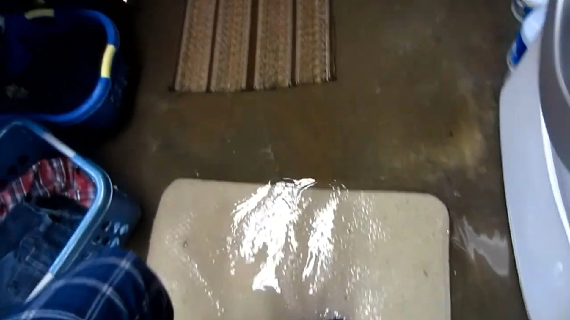 Sump Pump Failure Cleanup in River Forest, IL