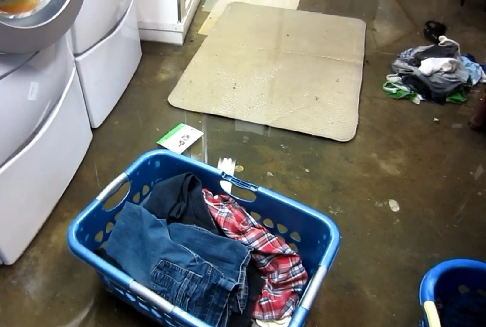 Sump Pump Failure Cleanup in River Forest, IL