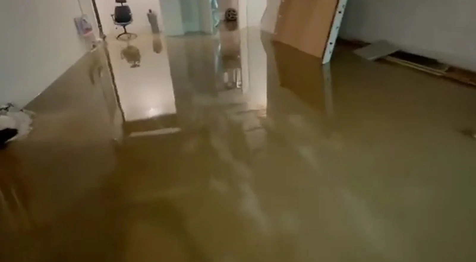 Sump Pump Failure Cleanup Rockford Metro