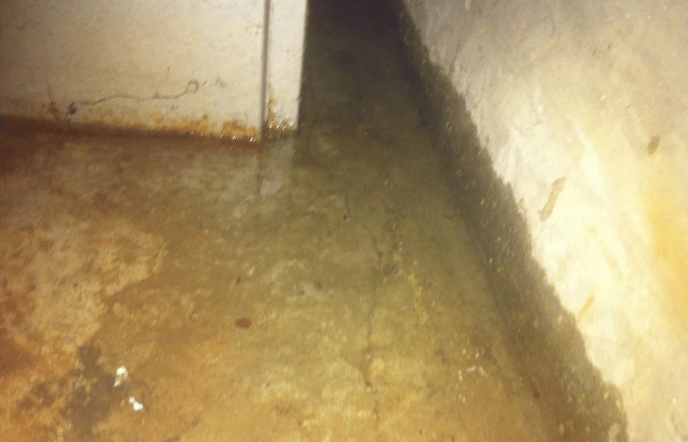 Sump Pump Failure Cleanup in Northbrook, IL