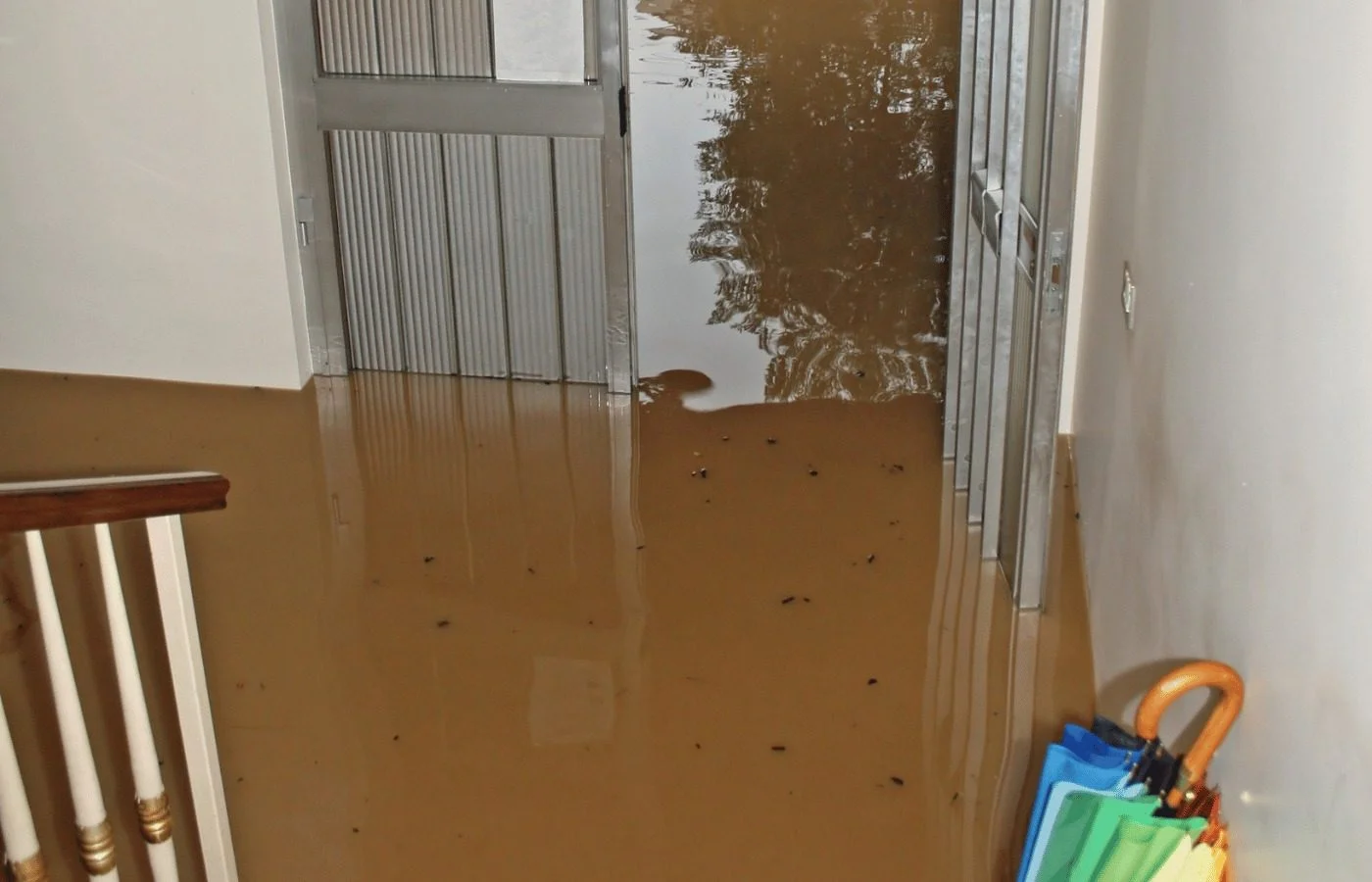 Sump Pump Failure Cleanup Rockford Metro