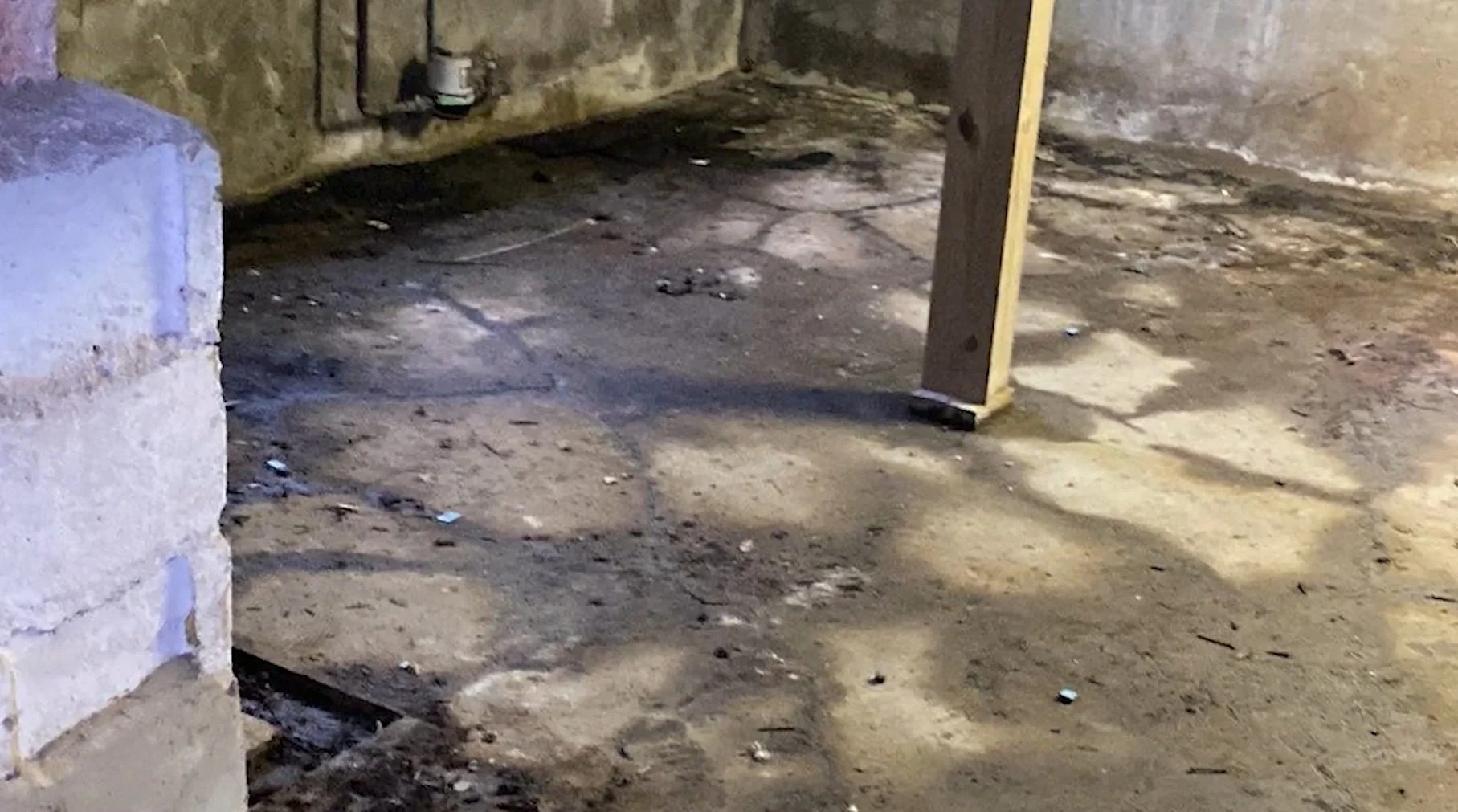 Sump Pump Failure Cleanup in Wasco, IL