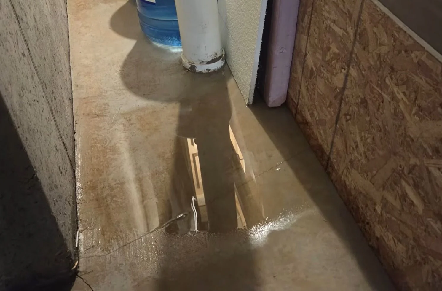 Mold Prevention After Basement Flooding Illinois